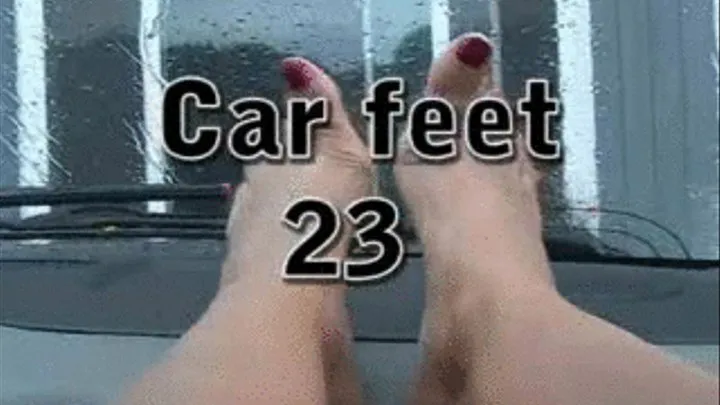 CAR FEET 23 a