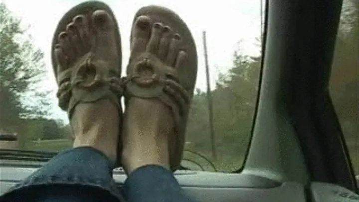 CAR FEET 100 A