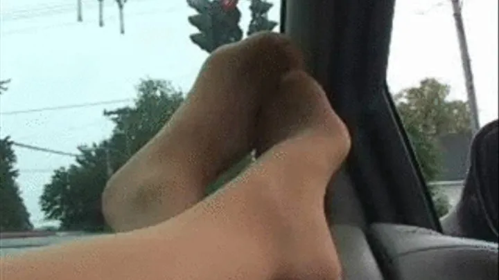 CAR FEET 24 c