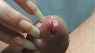 Cock with Pointed Nails ( )