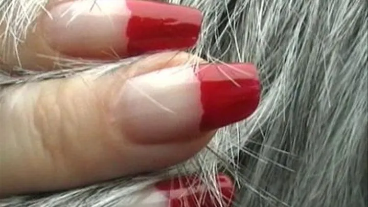 Hair spoiling with red nails