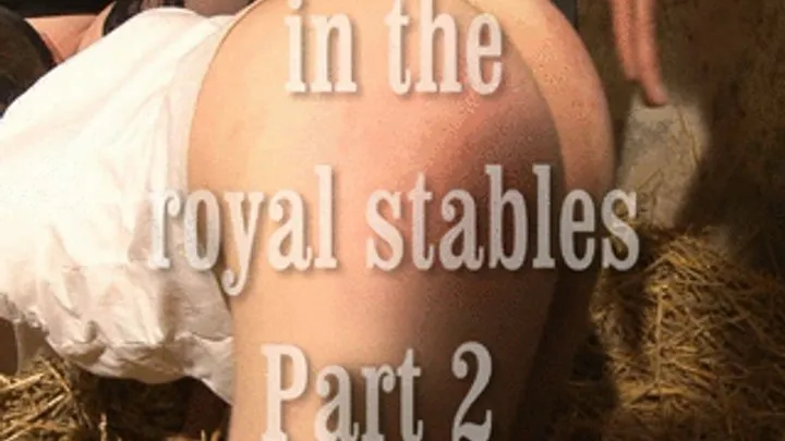 in the royal Stables 2