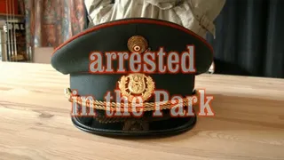 arrested in the park