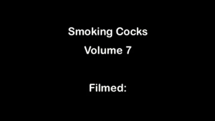 Smoking Cocks Volume 7 Full DVD