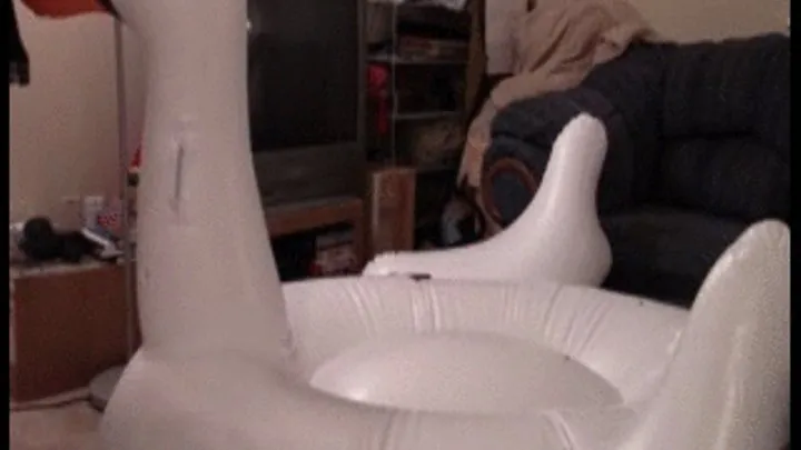 REPOST IN MP4 --Humping Giant Swan Until I Cum--5 20 14--MVI 5733 mobile