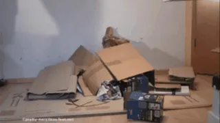 Cardboard boxes crushing 4