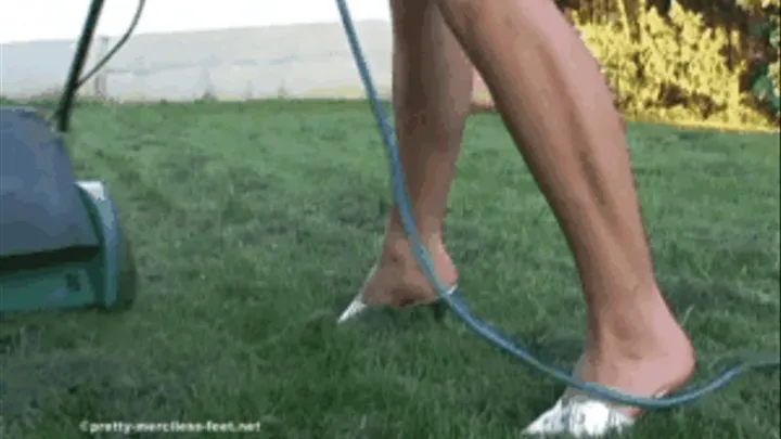 Cut the Lawn in High Heels