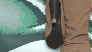 Flipper under Boots