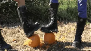 Two pumpkin vs New Rocks