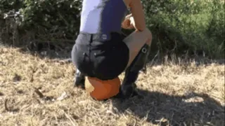 Pumpkin under Lady´s Hunter