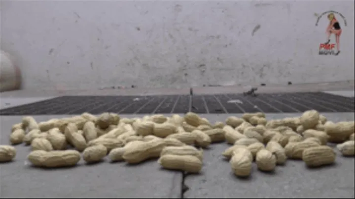 Peanuts under Wedges (floor view)