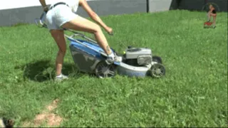 Cut the lawn 9