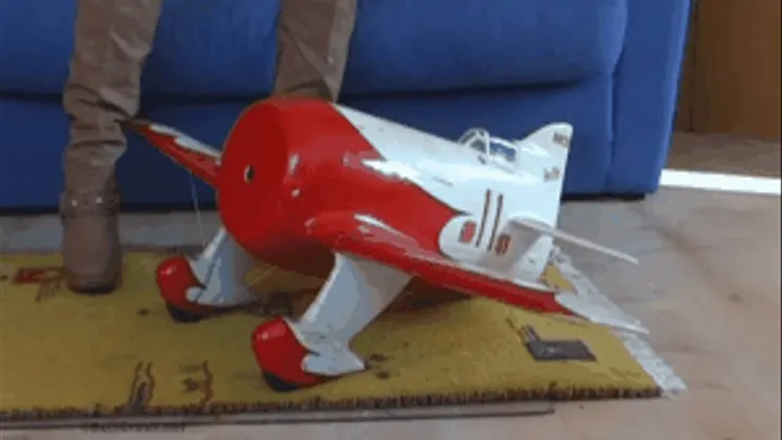 Model Aircraft under merciless Ass