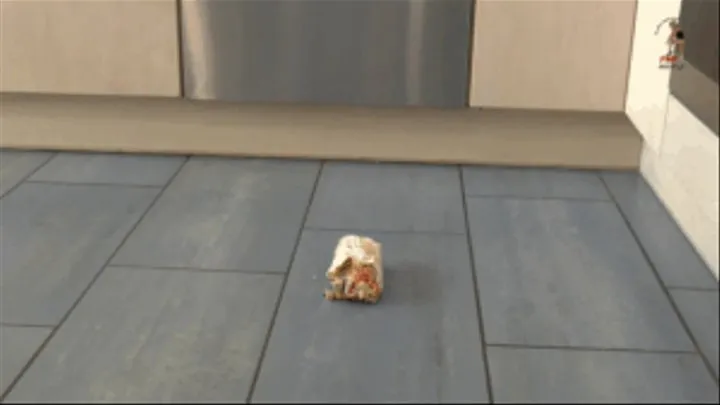 Doner kebab on the Kichen floor