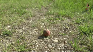 Fruits crushed under city Pumps