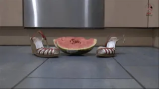 Melon under Wedges (floor view)