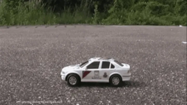 Car under Indiras flat wooden Mules