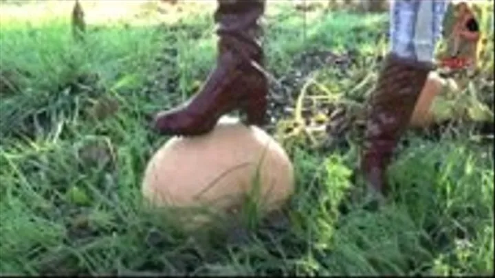 Gumboots in Pumpkin Field 2