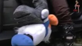 Poor Donald Duck