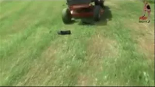 Cut the lawn 7