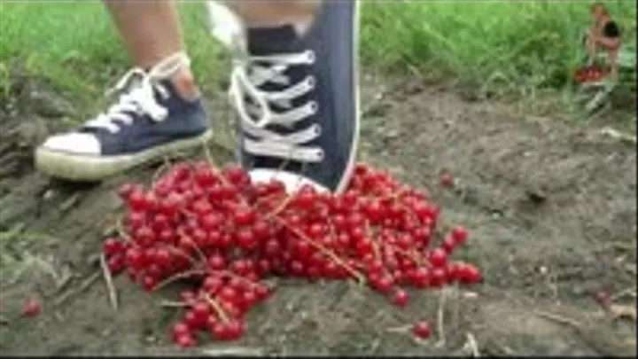 Currants and grapes under Chucks