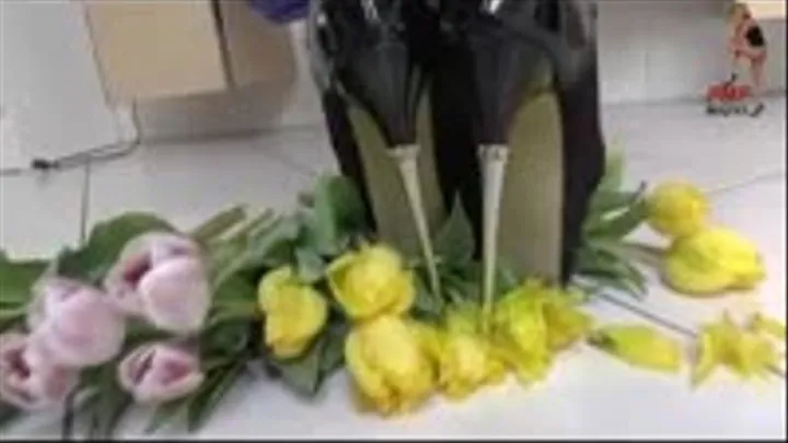 Nice Flowers under merciless Heels