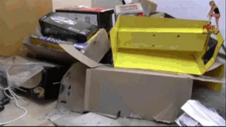 Shredding the Remains (Cartons)