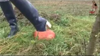 Sunday walk with new heeled Wellies