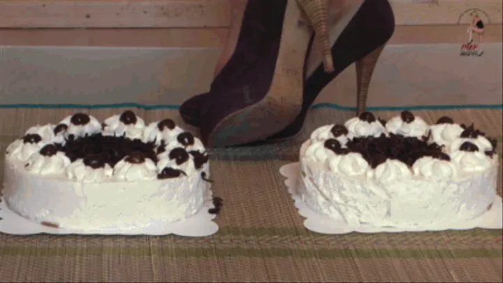 Two cream cakes for her Zara Heels