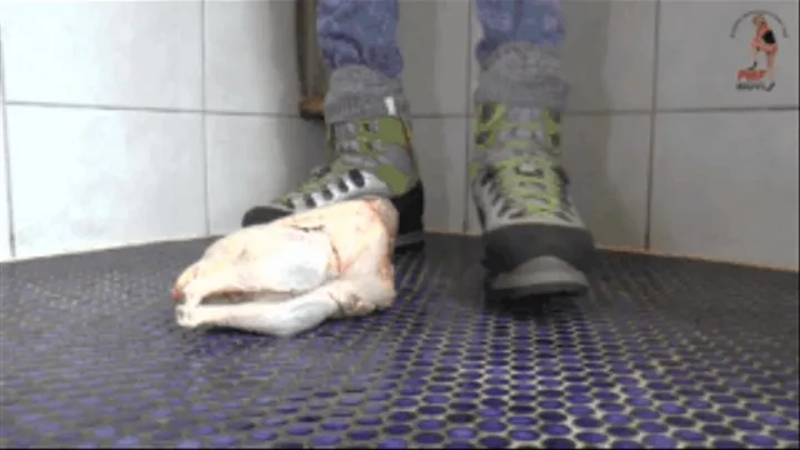 Chicken under heavy Boots (floor view)