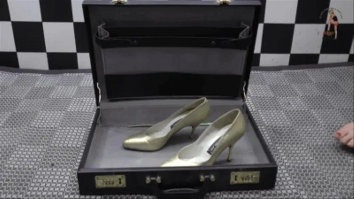 Briefcase under High Heels 4