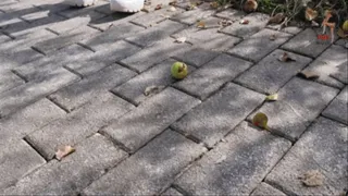 Fruits and trash under Chucks