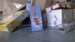 Cardboard boxes trample 2