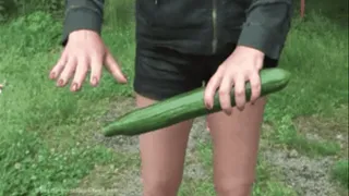 Lucky Cucumber