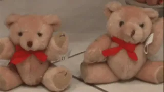 Two bears VS two Feet