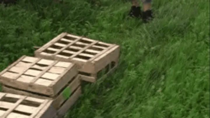 Wooden Boxes under Buffalos