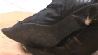 Old Car vs old Boots