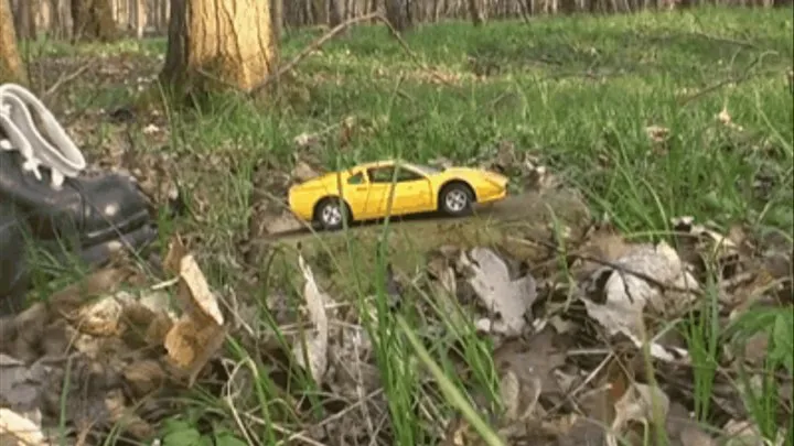 Metal Car under cruel Metal Shoes