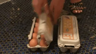 Lady B plays with Eggs