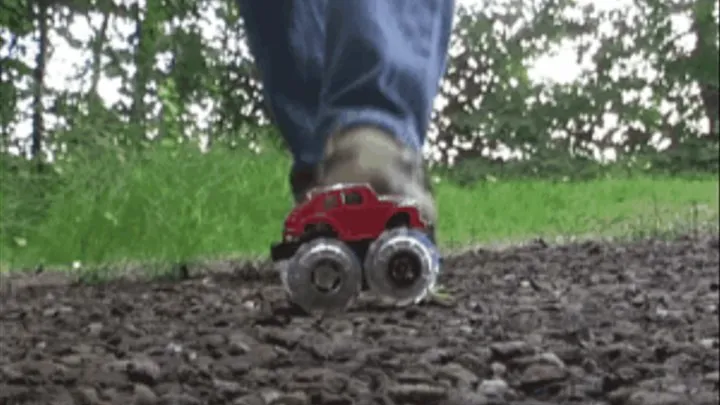 Little Car in the Forest