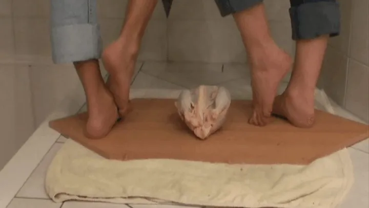 Four Feets vs Chicken Part 1