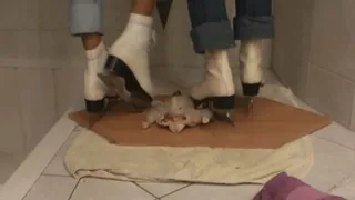 Four Feets vs Chicken Part 2