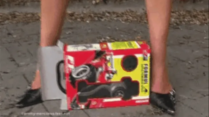 Brand new RC Car