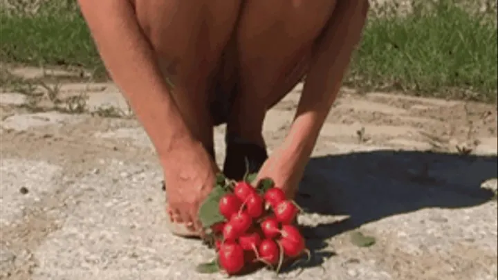 Radish under wooden Mules