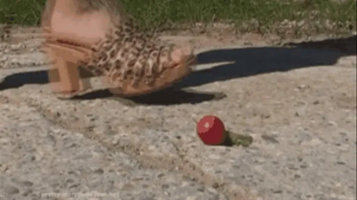 Naomi step on Radish