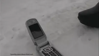 Cellphone in the Snow