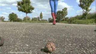 Walnuts under red high heel Boots