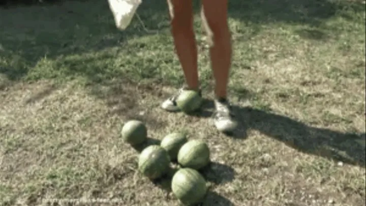 Watermelons under old Sneakers