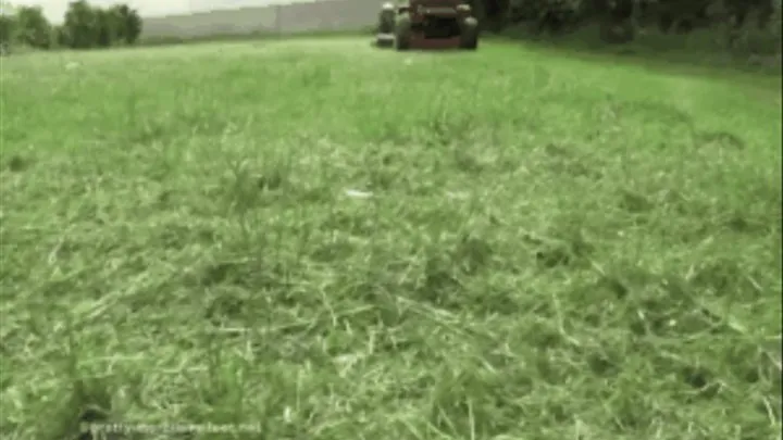 Cut the lawn 4