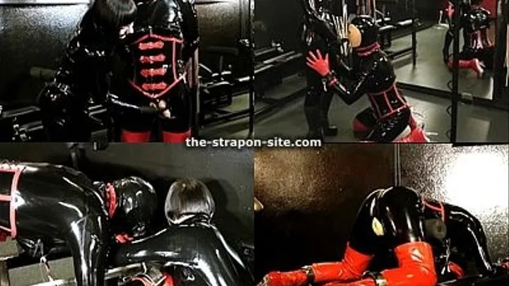 Fucked and Electro Shocked (Part1)